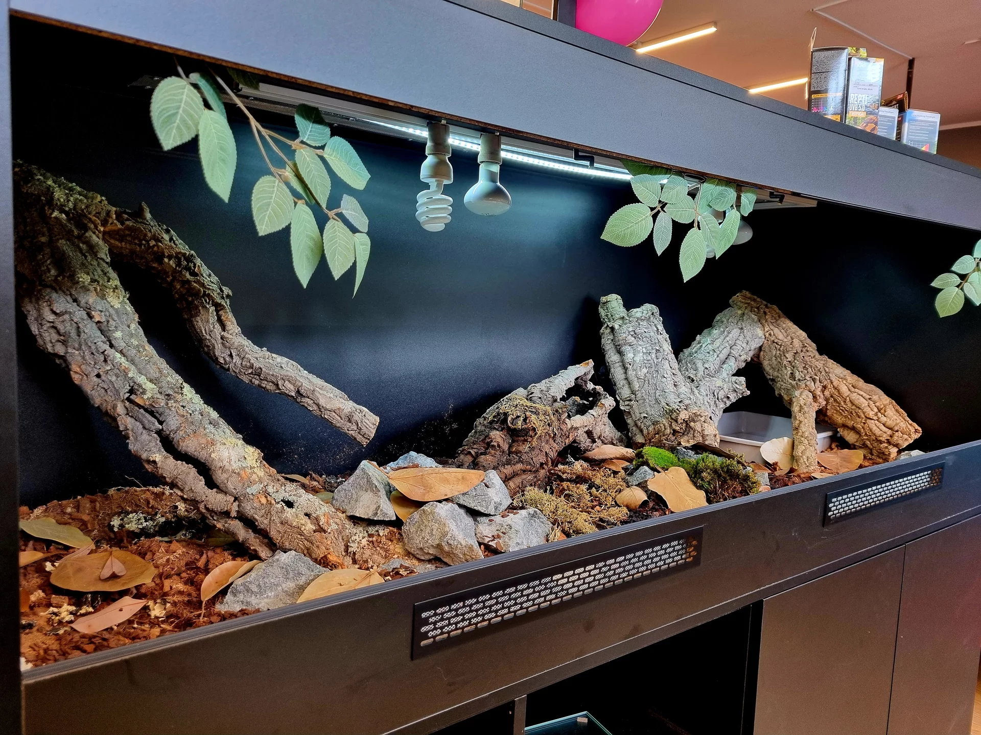 Terrarium 200x70x75 z szafką