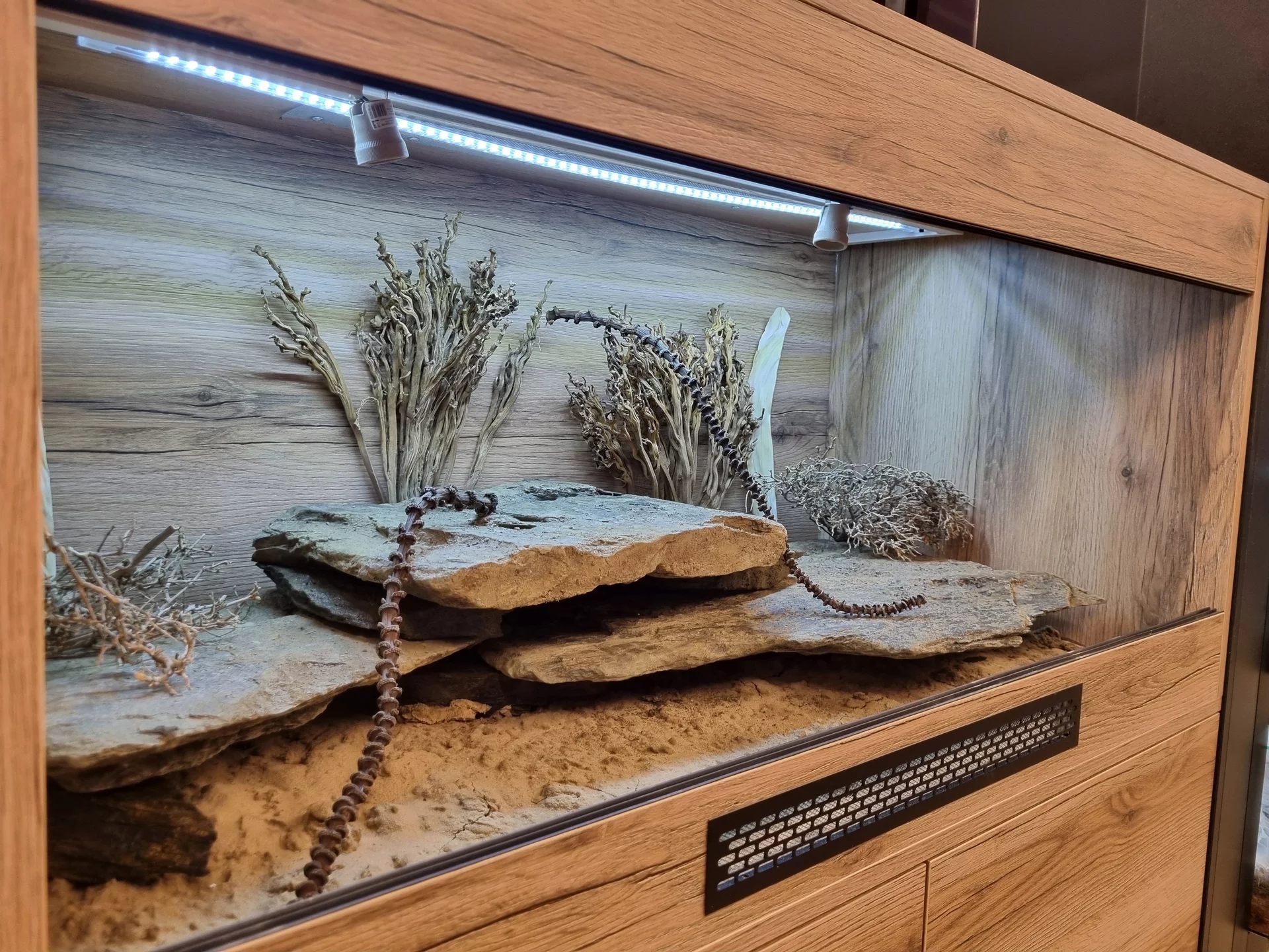 Terrarium 120x60x60 z szafką