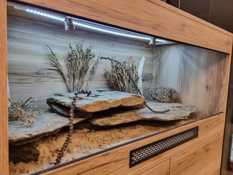 Terrarium 120x60x60 z szafką