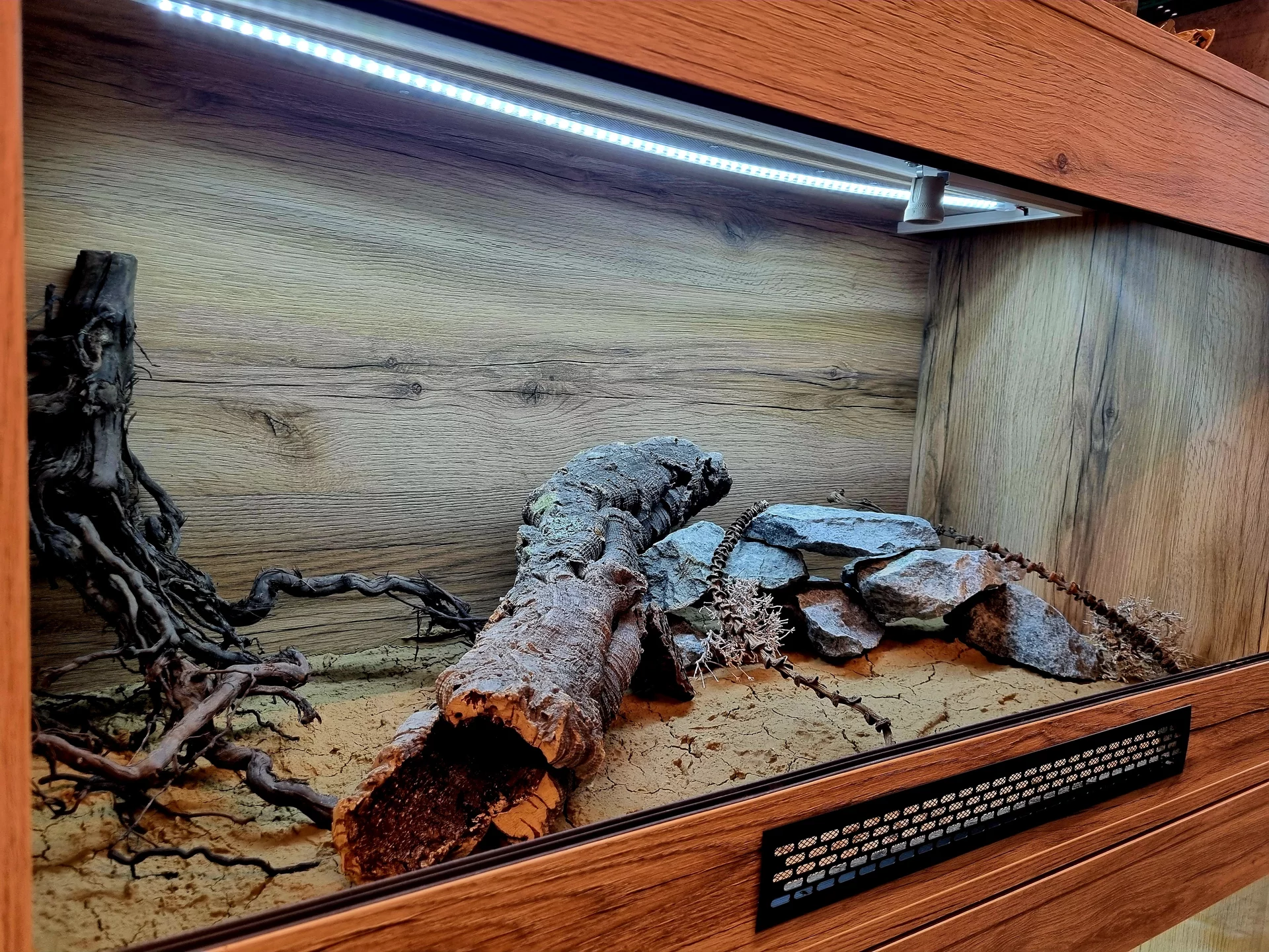 Terrarium 120x60x60 agama glina