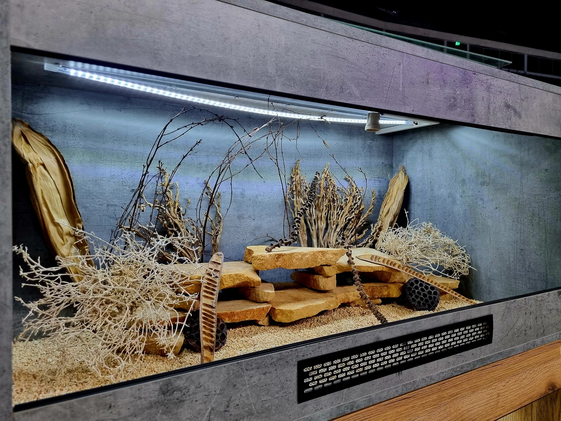 Terrarium 120x60x60 agama #9