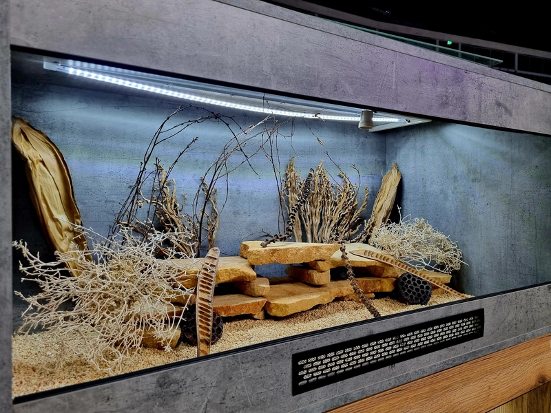 Terrarium 120x60x60 agama #9