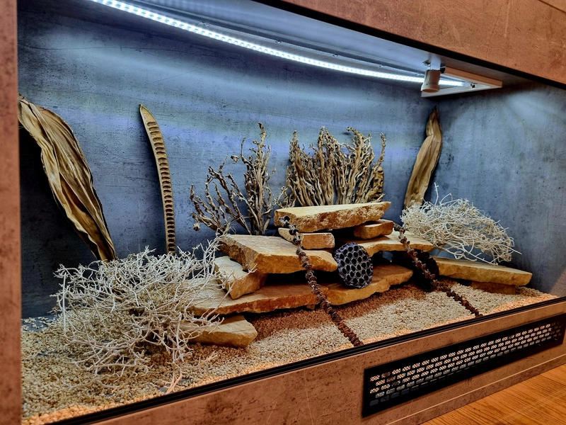 Terrarium 120x60x60 agama #8