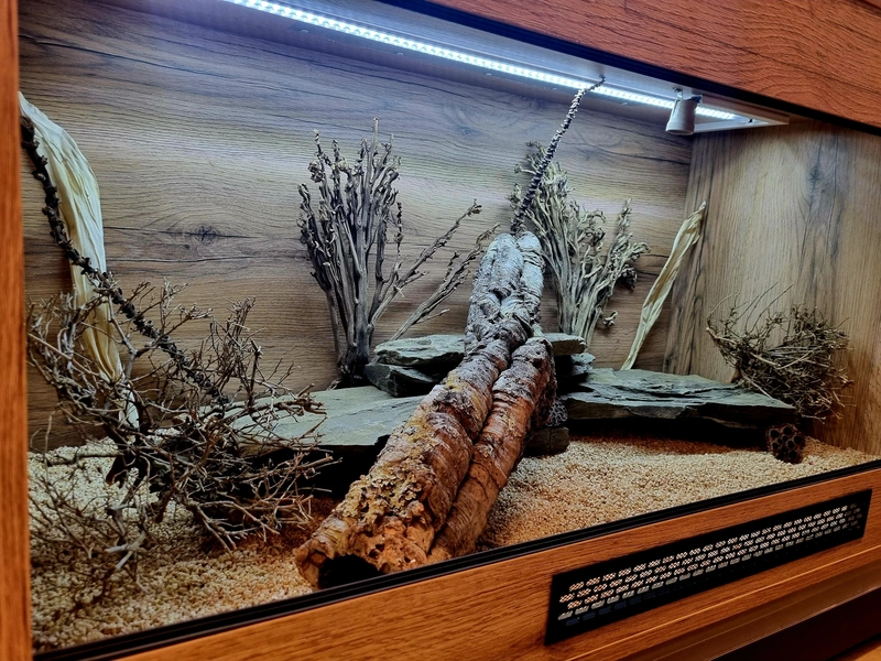 Terrarium 120x60x60 agama #7