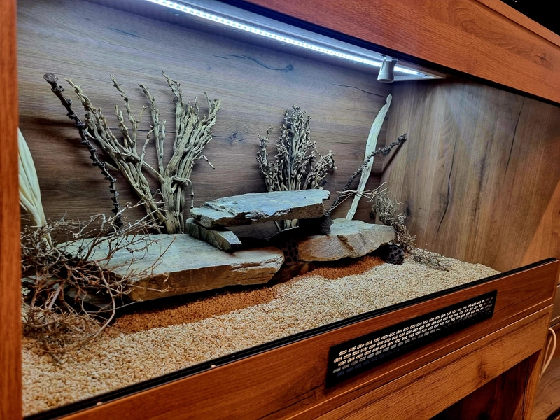 Terrarium 120x60x60 agama #6