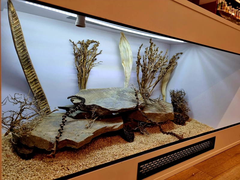 Terrarium 120x60x60 agama #4
