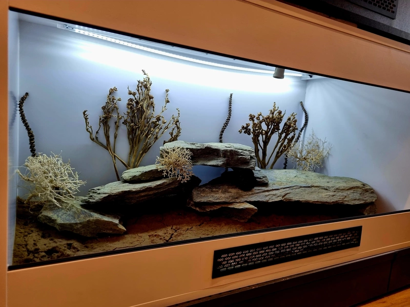 Terrarium 120x60x60 agama #2