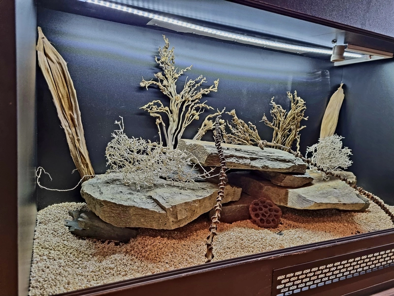 Terrarium 120x60x60 agama
