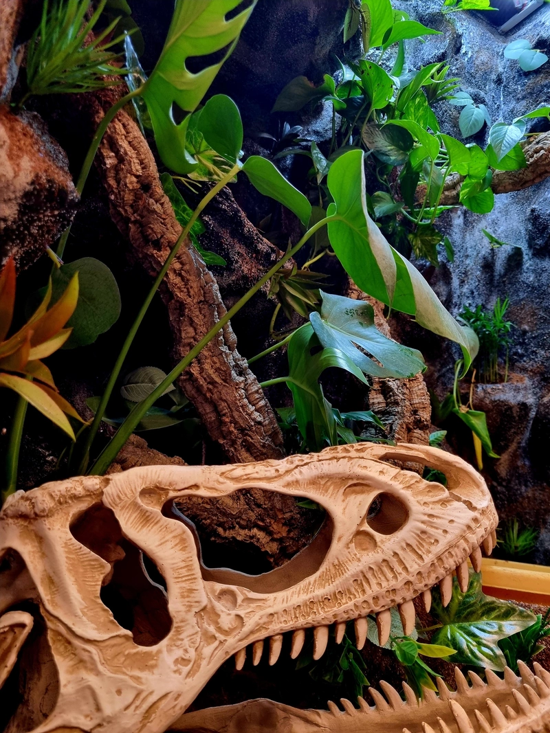 Terrarium 100x60x150 legwan strukturalne