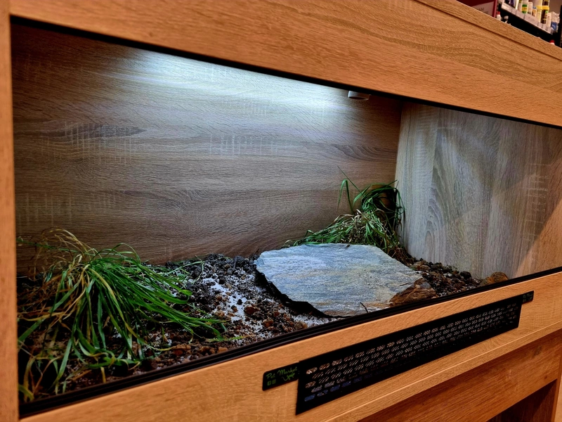 Terrarium 100x50x50 żółw