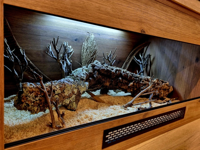 Terrarium 100x50x50 wąż #2