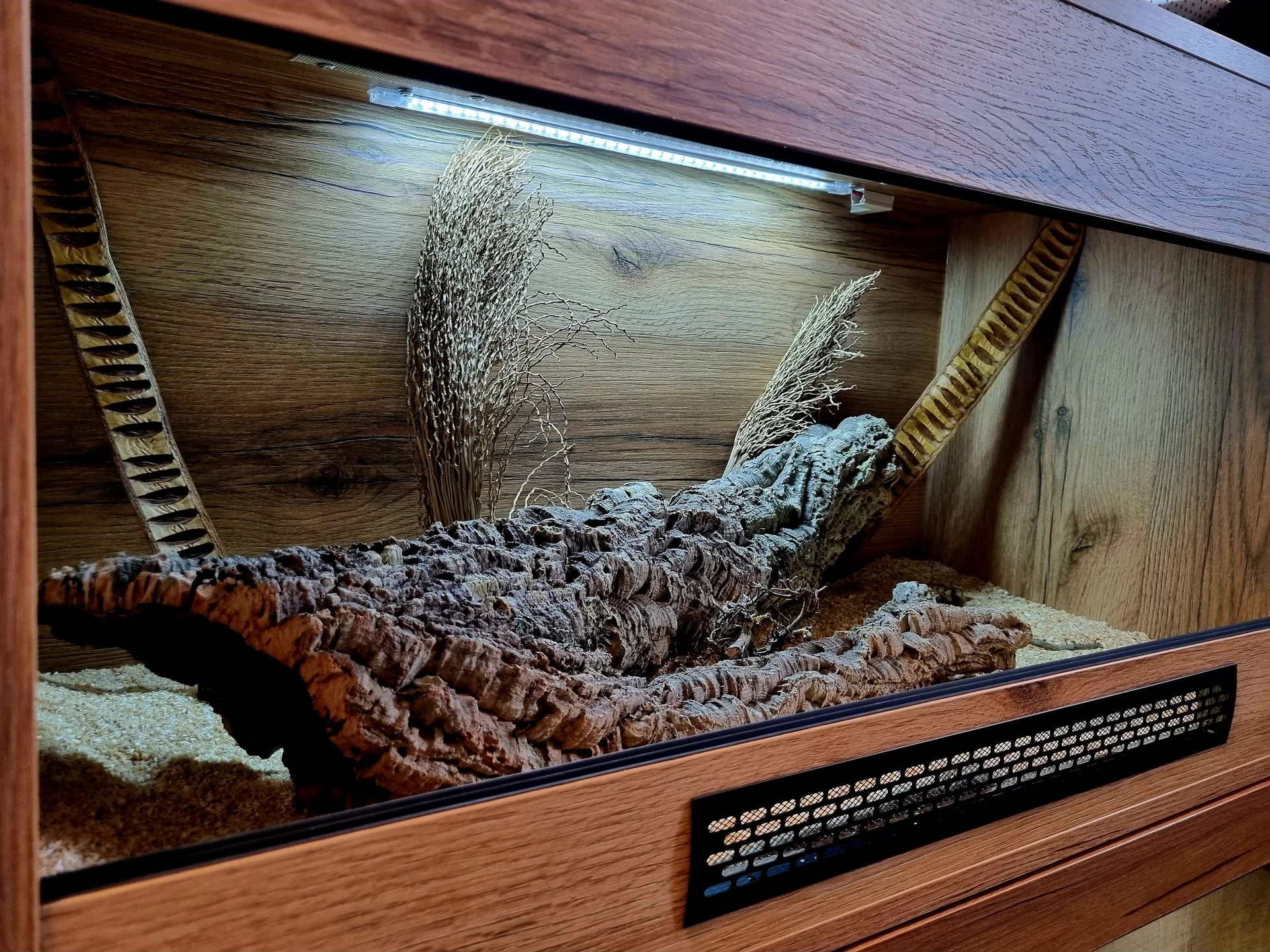 Terrarium 100x50x50 wąż
