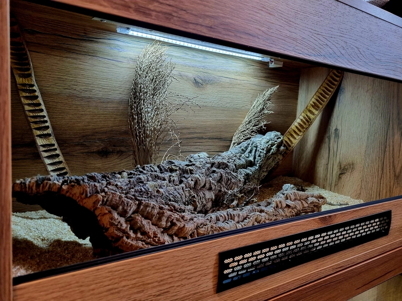 Terrarium 100x50x50 wąż