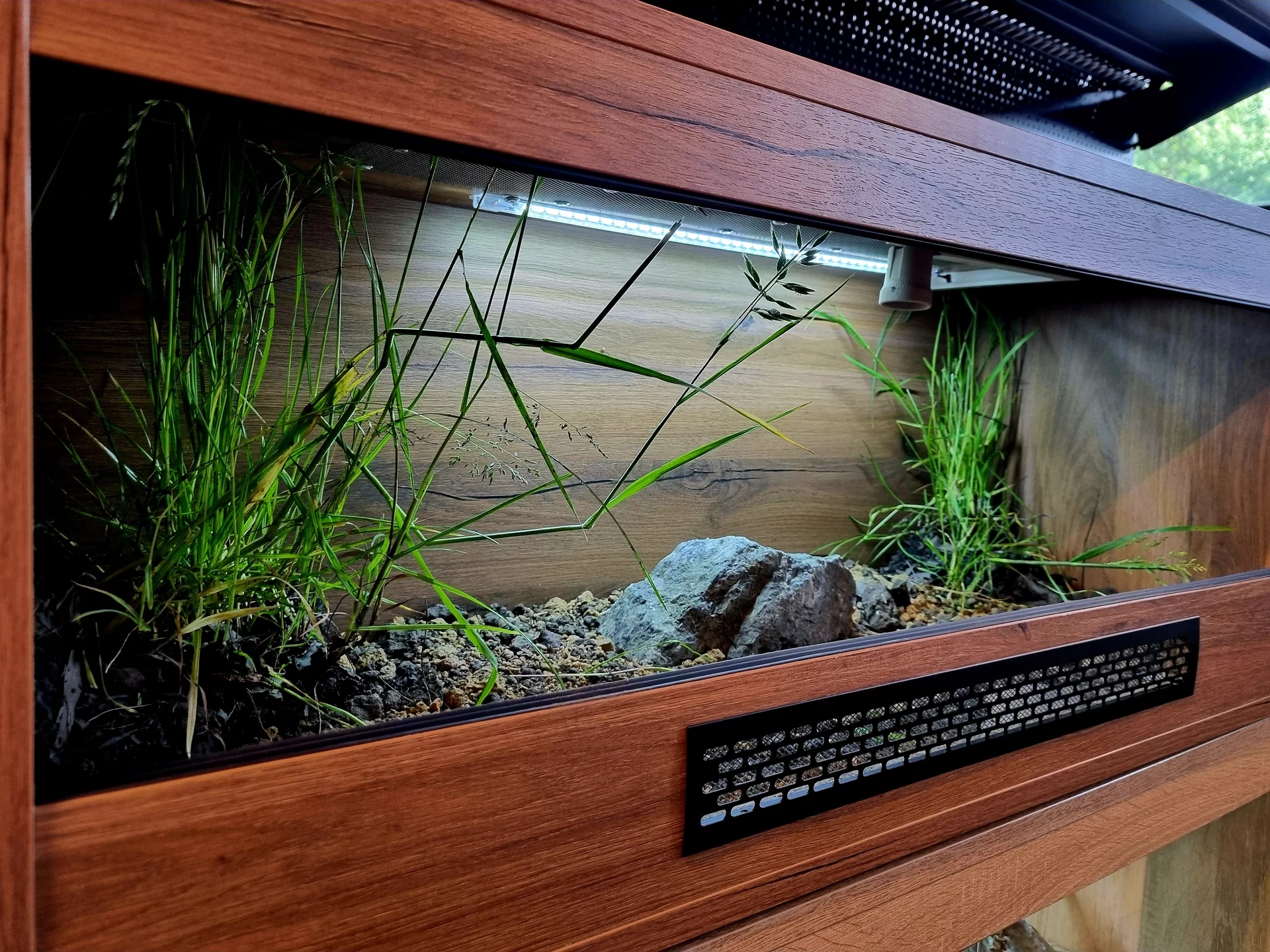 Terrarium 100x40x40 żółw #6