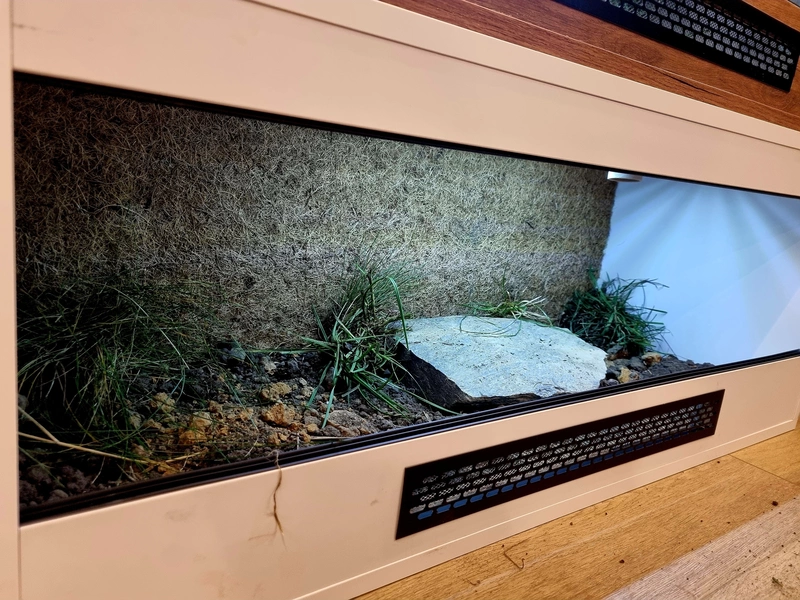 Terrarium 100x40x40 żółw #5