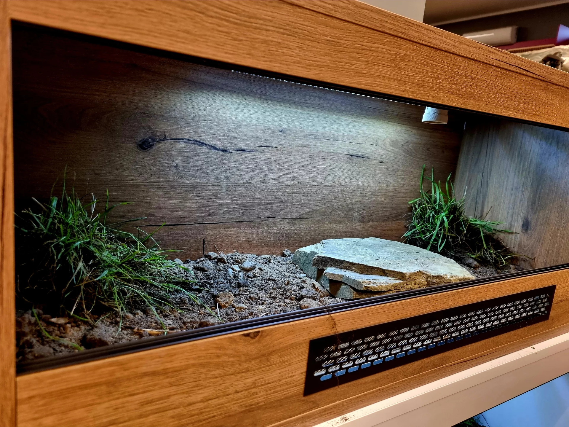 Terrarium 100x40x40 żółw #4