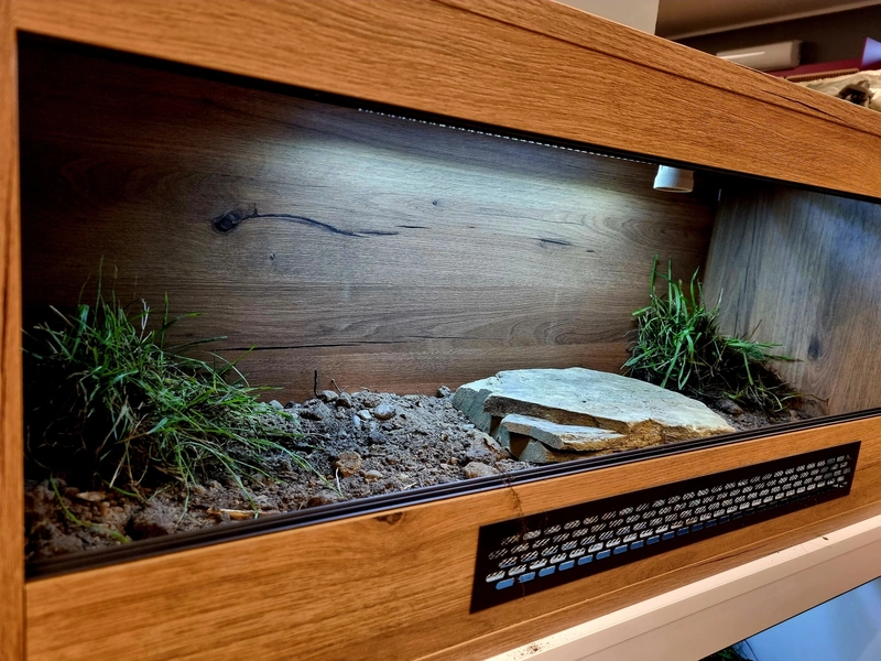 Terrarium 100x40x40 żółw #4