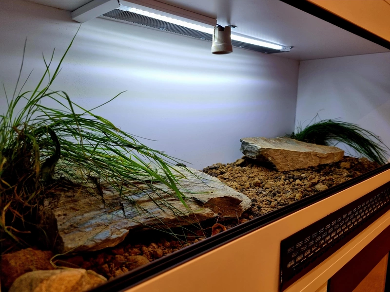 Terrarium 100x40x40 żółw #1
