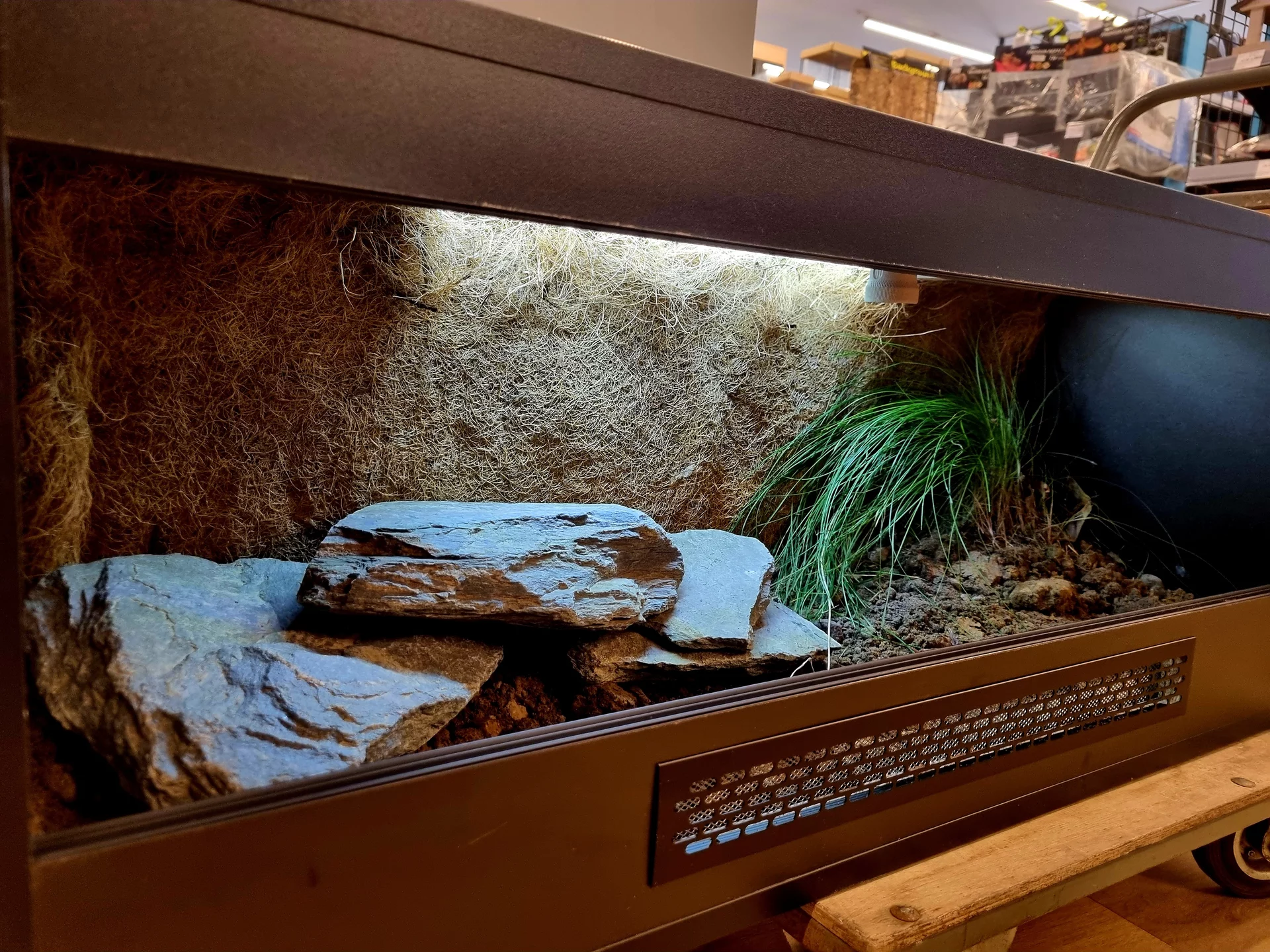Terrarium 100x40x40 żółw