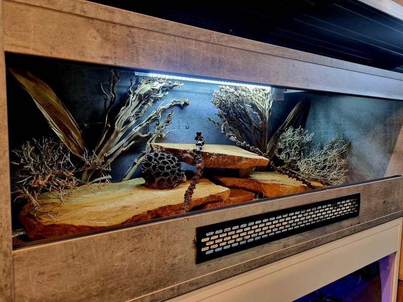 Terrarium 100x40x40 jaszczurka