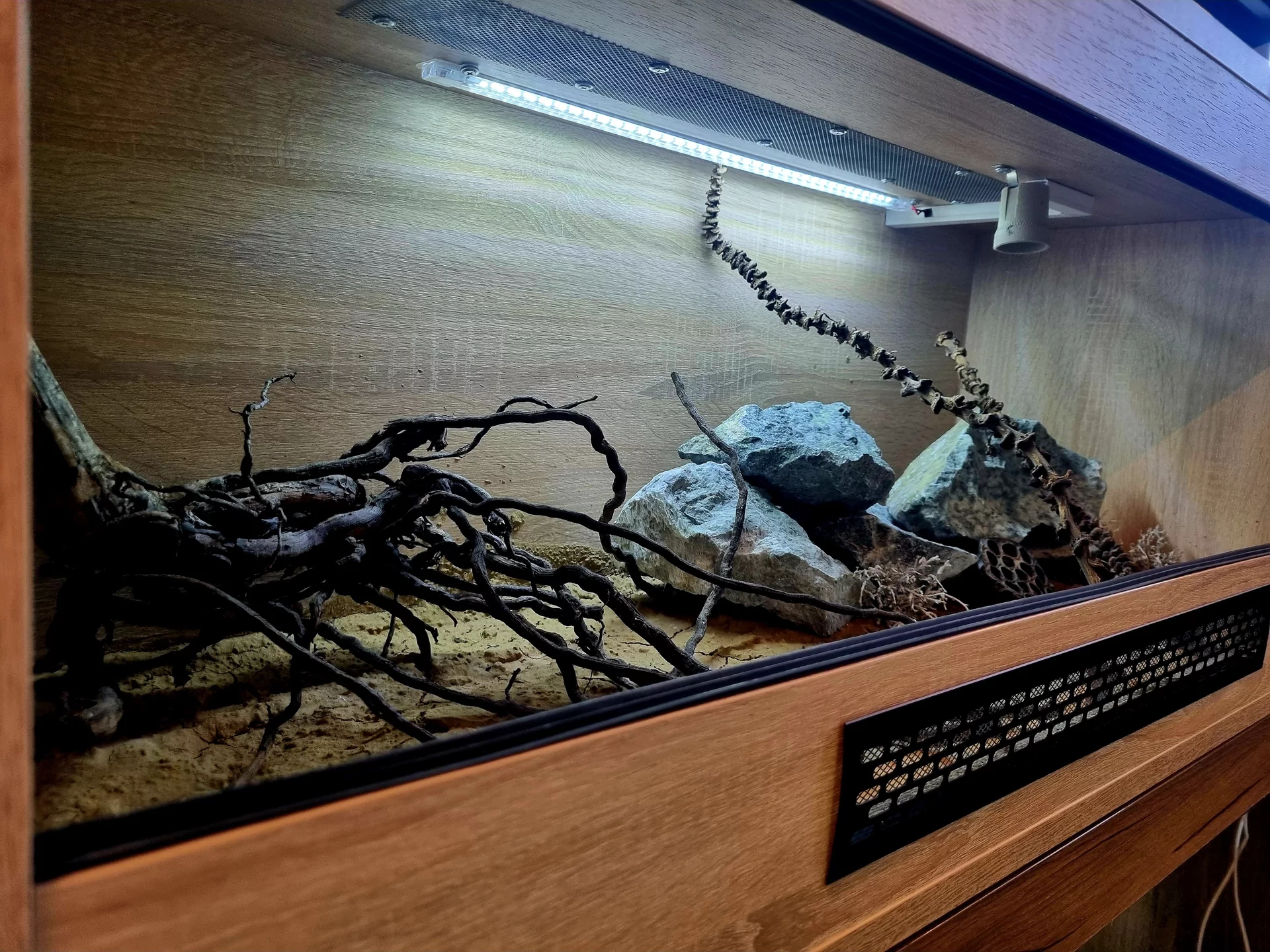 Terrarium 100x40x40 glina
