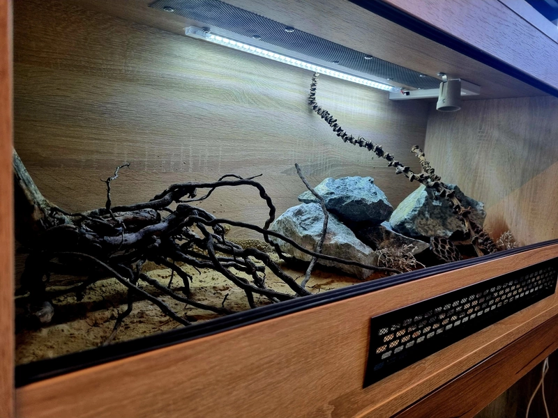 Terrarium 100x40x40 glina