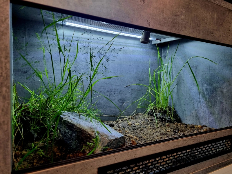Terrarium 80x50x50 żółw #7