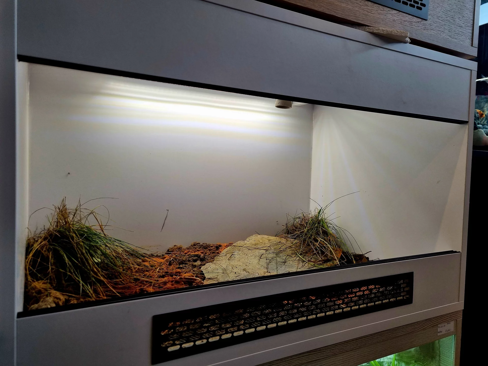 Terrarium 80x50x50 żółw #6