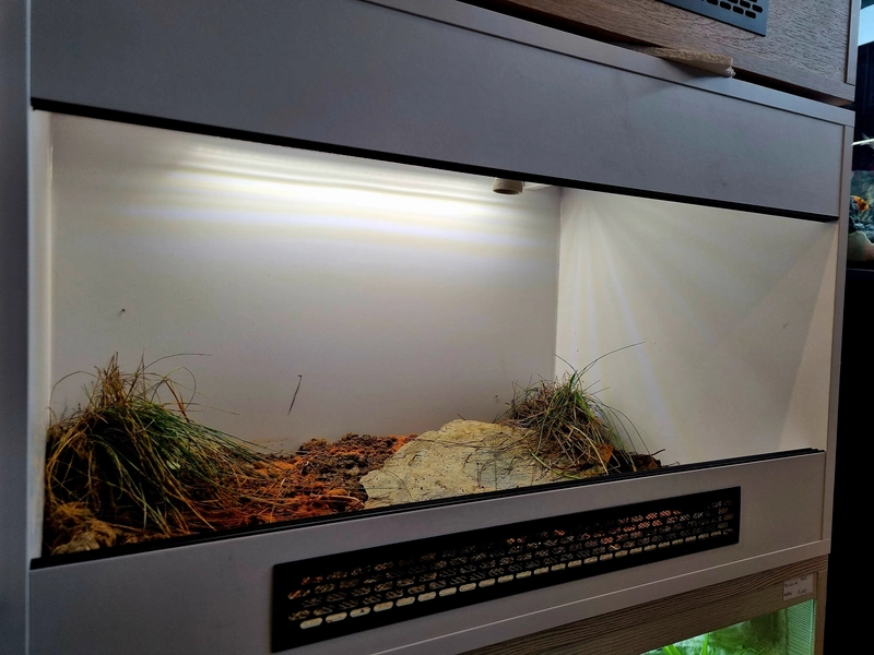 Terrarium 80x50x50 żółw #6