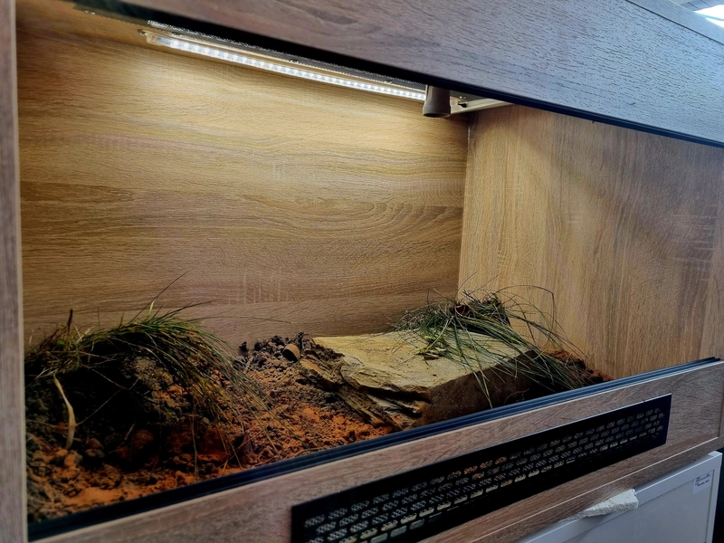 Terrarium 80x50x50 żółw #5