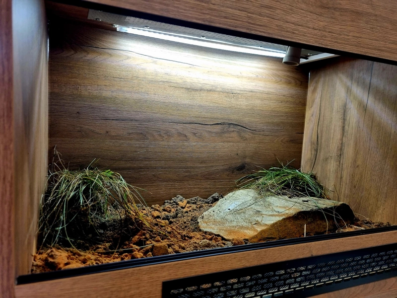 Terrarium 80x50x50 żółw #4