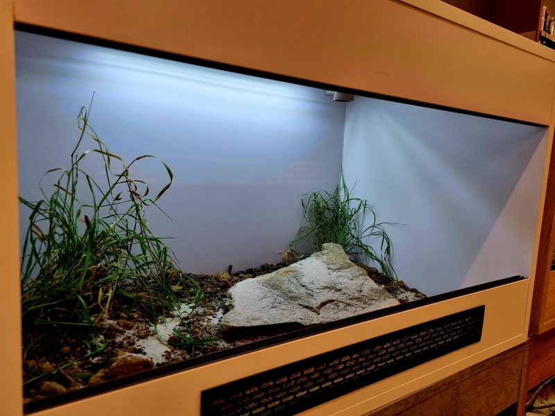 Terrarium 80x50x50 żółw #3