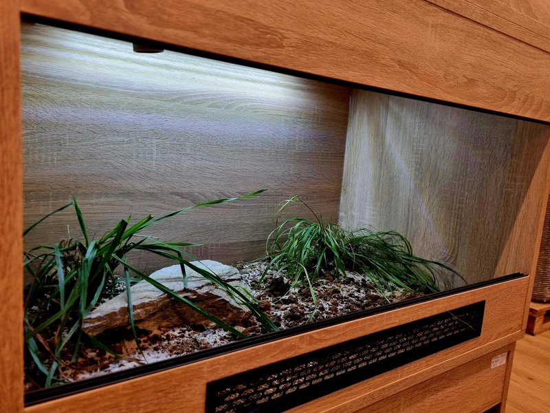 Terrarium 80x50x50 żółw #2