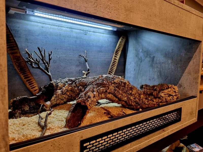 Terrarium 80x50x50 wąż #3
