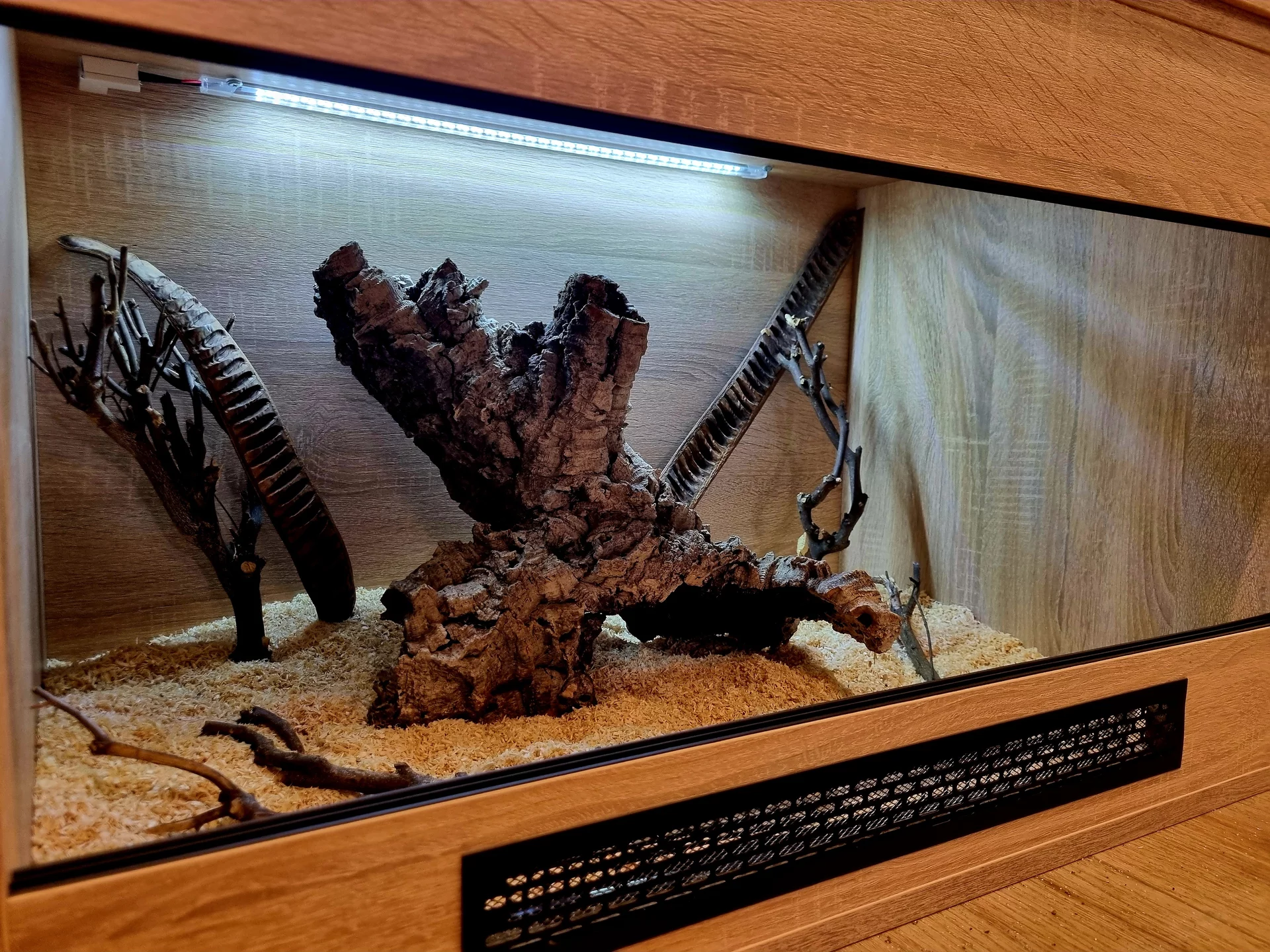 Terrarium 80x50x50 wąż #2