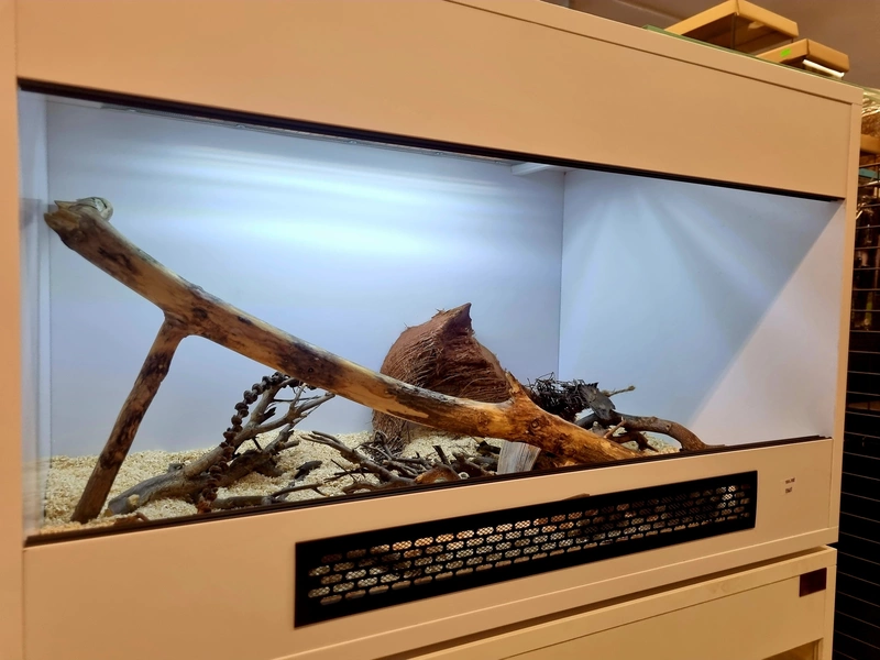 Terrarium 80x50x50 wąż