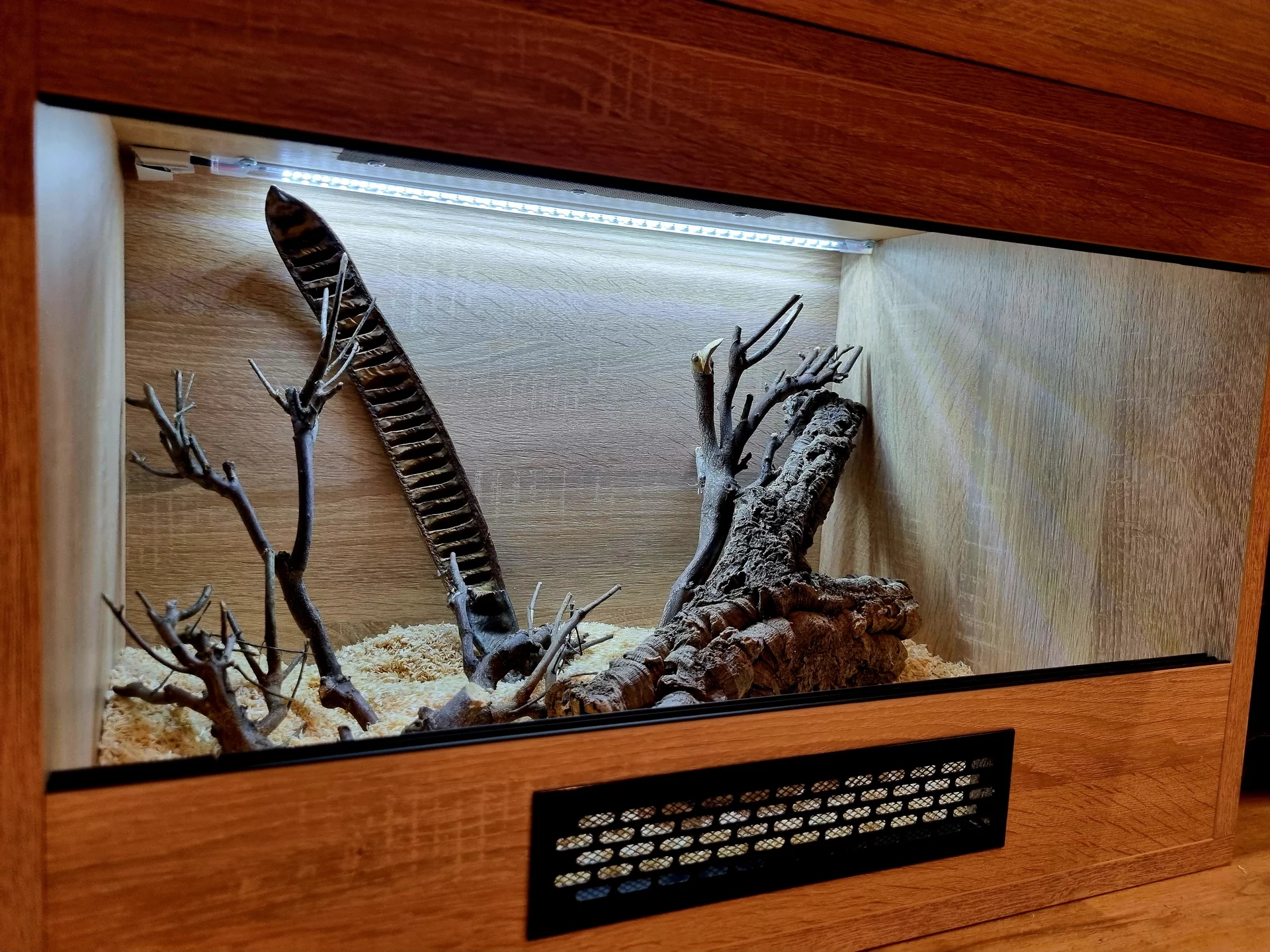 Terrarium 60x40x40 wąż