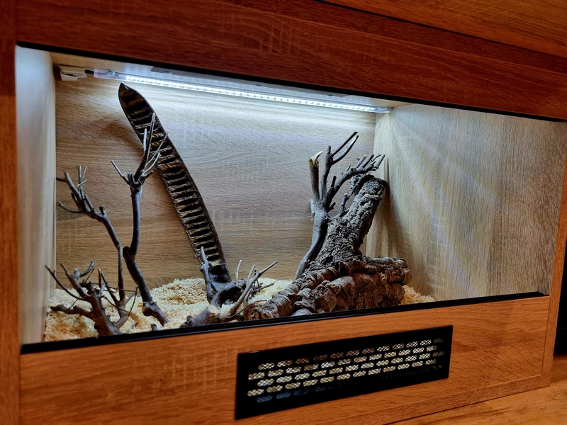 Terrarium 60x40x40 wąż