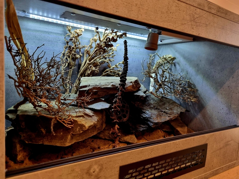 Terrarium 60x40x40 glina #1