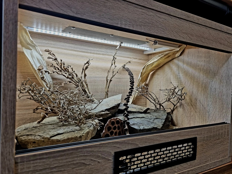 Terrarium 60x40x40 gekon #5
