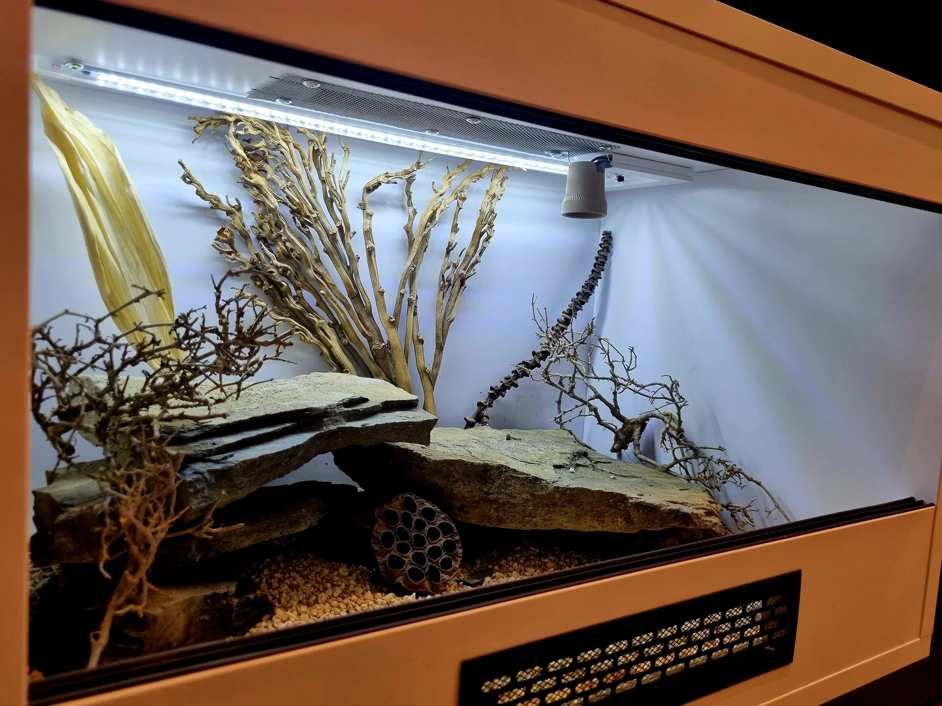 Terrarium 60x40x40 gekon #4