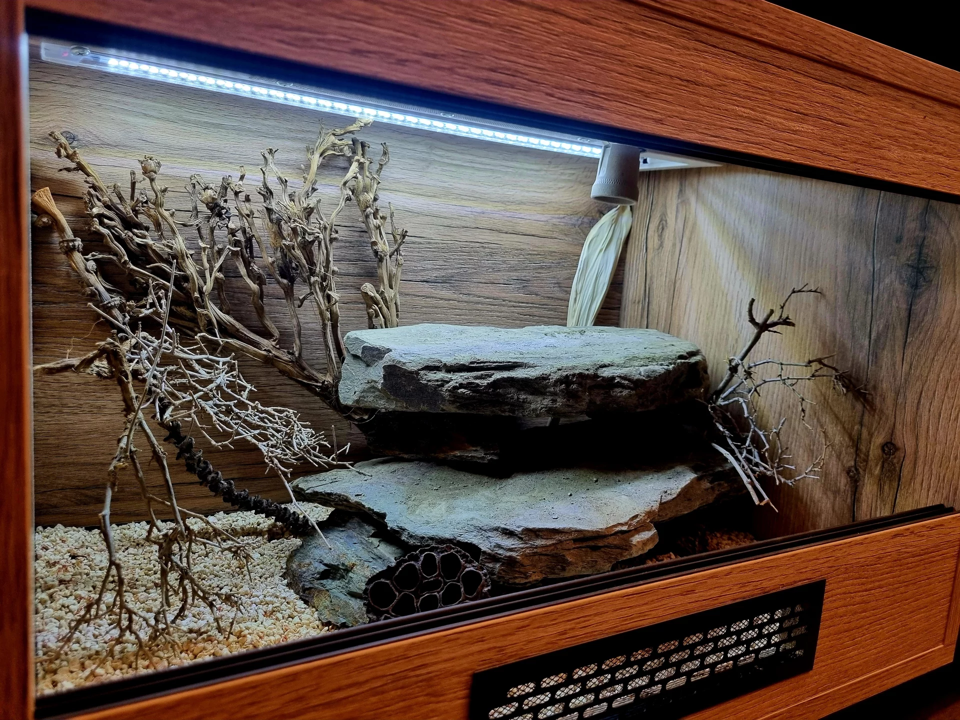Terrarium 60x40x40 gekon #3