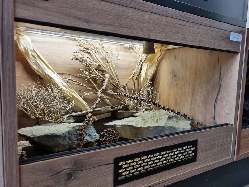 Terrarium 60x40x40 gekon #2