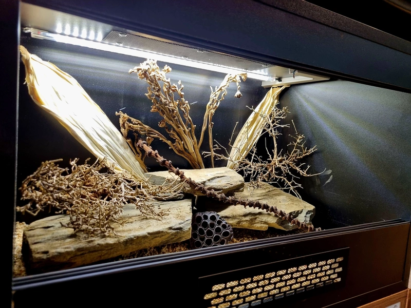 Terrarium 60x40x40 gekon #1