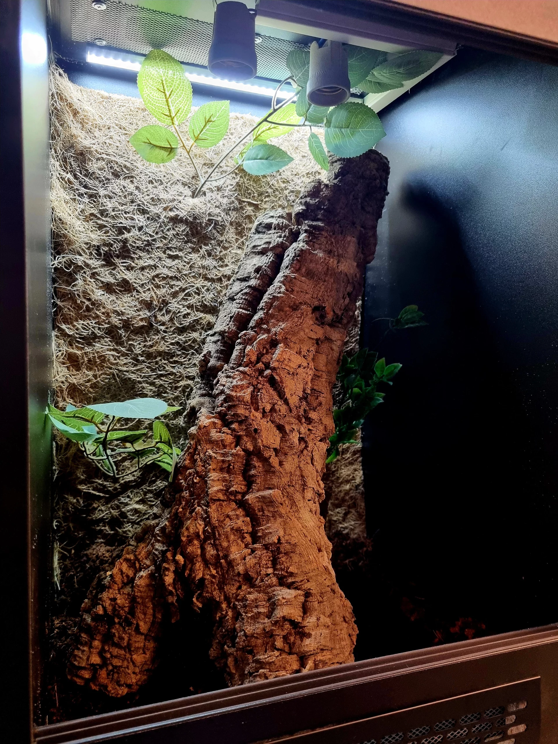 Terrarium 40x40x60 #2