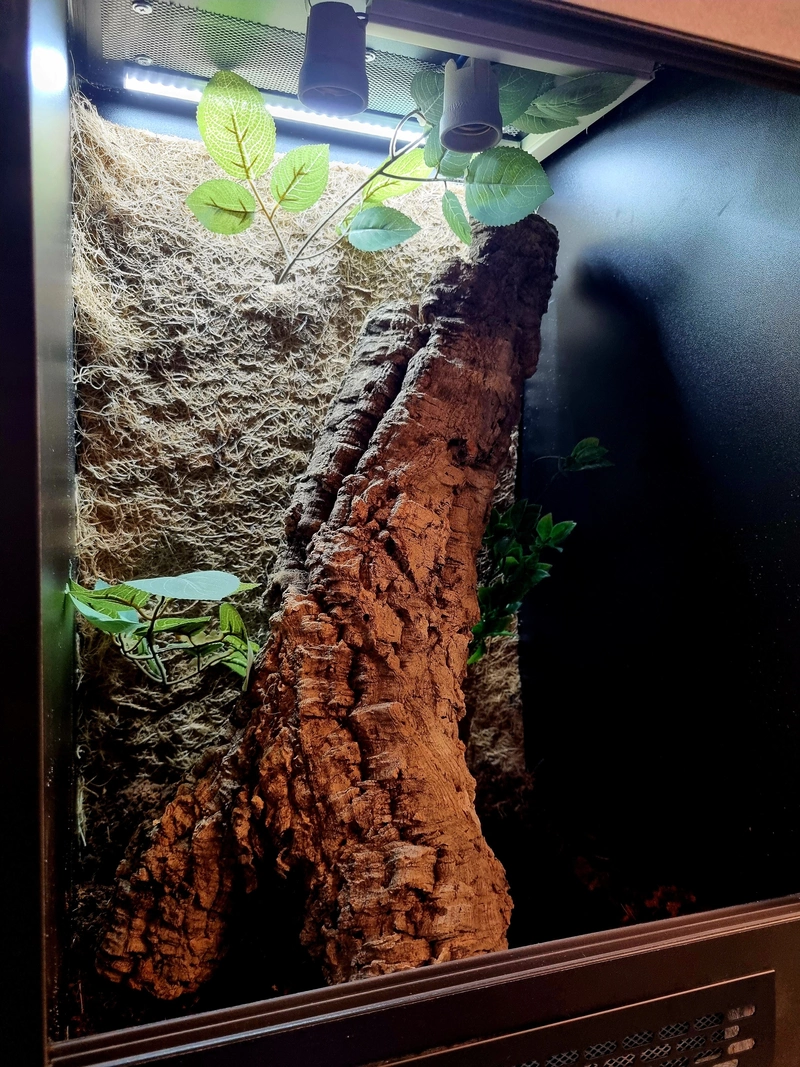Terrarium 40x40x60 #2