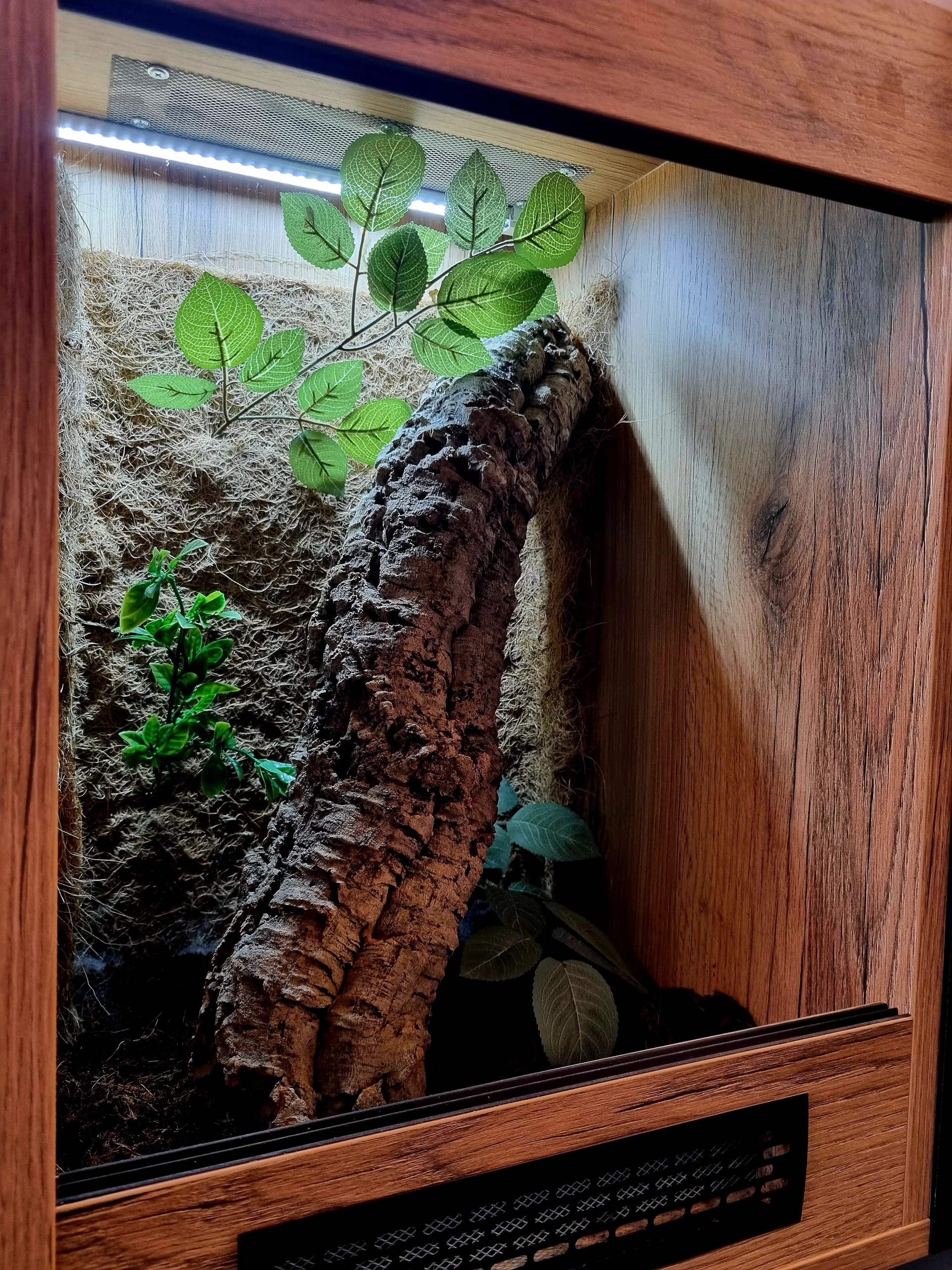 Terrarium 40x40x60 #1